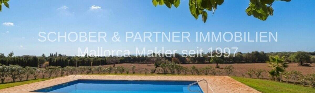 Outdoor area of the finca in Son Carrió with rectangular pool, natural stone terrace, sun lounger and view over fields.