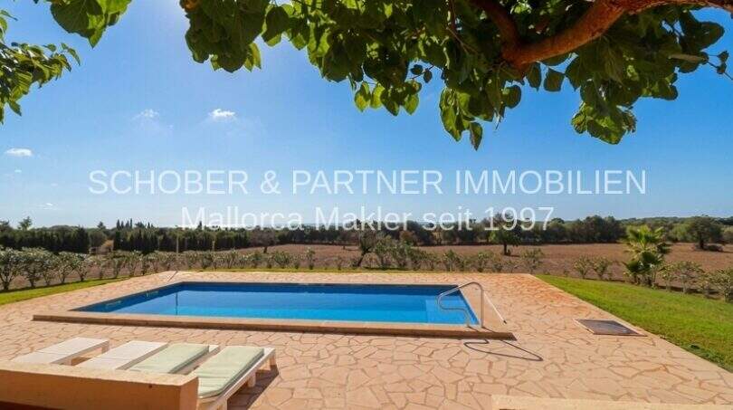 Outdoor area of the finca in Son Carrió with rectangular pool, natural stone terrace, sun lounger and view over fields.