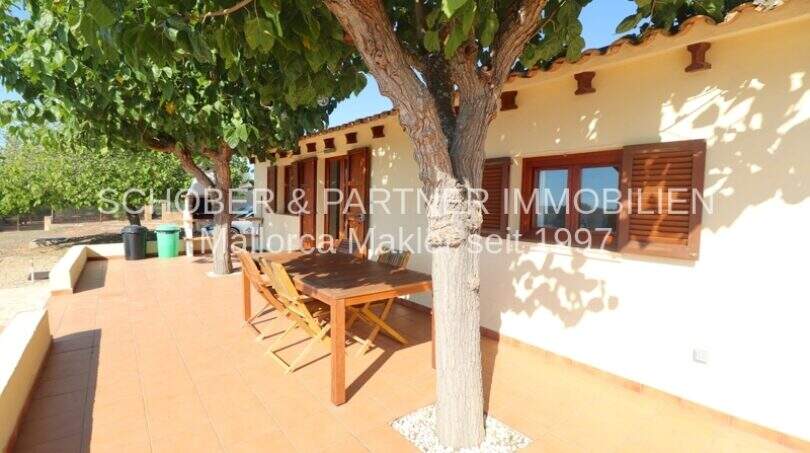 Sunny terrace with wooden furniture and shade-providing trees of a well-maintained Mallorca finca in Son Carrió