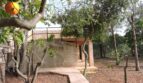 Finca Manacor: Naturnaher Garten mit Orangenbäumen, Steinweg und überdachter Holzterrasse