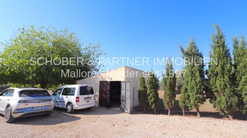 Gravel parking space with garage, cypress trees and deciduous trees on Mallorca finca in Son Carrió.
