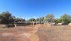 Spacious grounds with entrance gate, red clay soil and old olive trees of a finca in Son Carrió.