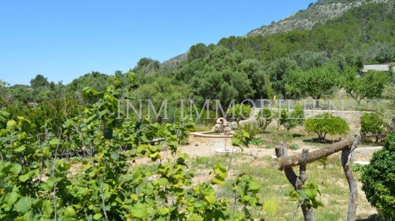 Weitläufiger Garten mit Brunnen, mediterranen Pflanzen und Bergkulisse des Landhauses in Llucmajor