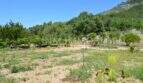 Weitläufiges Grundstück mit Obstbäumen, Palme und Bergkulisse des Landhauses in Llucmajor