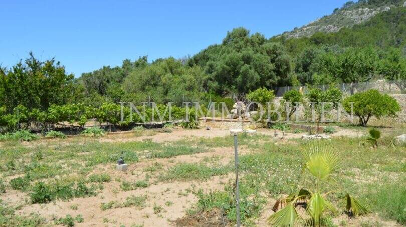 Weitläufiges Grundstück mit Obstbäumen, Palme und Bergkulisse des Landhauses in Llucmajor
