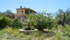 Landhaus Llucmajor: Außenansicht mit mediterranem Garten, Palme, Steinrondell und gelbem Ferienhaus im Hintergrund.