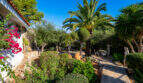 Mediterranean garden of the sea view villa in Cala Murada with palm trees, bougainvillea and seating area