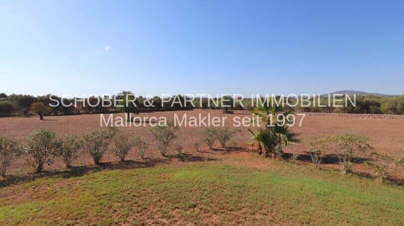 Spacious grounds of the finca in Son Carrió with palm trees, shrubs and view of the Mallorcan countryside.