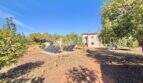 Weitläufiges Grundstück der Finca bei Algaida mit Solarpanelen, Obstbäumen und Wohnhaus im Hintergrund.