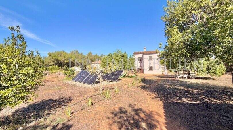 Weitläufiges Grundstück der Finca bei Algaida mit Solarpanelen, Obstbäumen und Wohnhaus im Hintergrund.