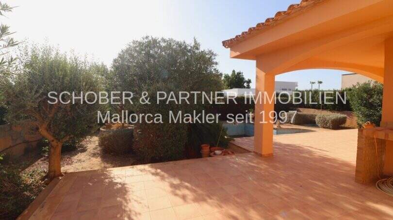 Sonnige Terrasse mit Olivenbaum, Pool und mediterranem Garten eines Chalets in Sa Coma, Mallorca.