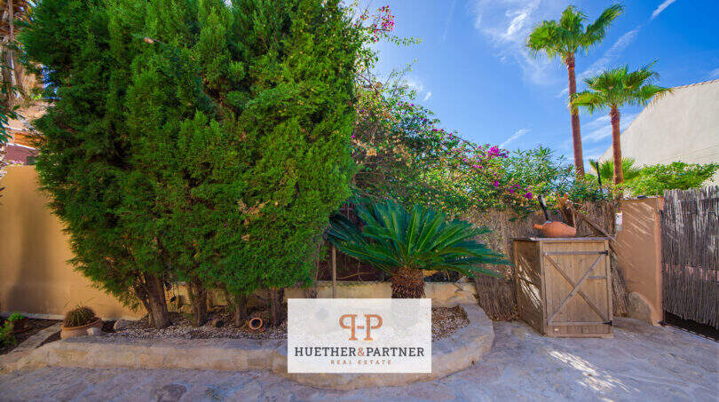 Gepflegter Garten mit Zypressen, Palmen und Bougainvillea beim Ferienhaus mit Pool in Cala Murada.
