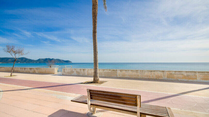 Strandpromenade in Cala Millor mit Meerblick, Palme und Bank – fußläufig zur Wohnung in zentraler Lage.