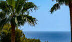 Meerblick durch Palmen in Cala Murada – mediterrane Gartenanlage der Poolvilla mit azurblauem Horizont.