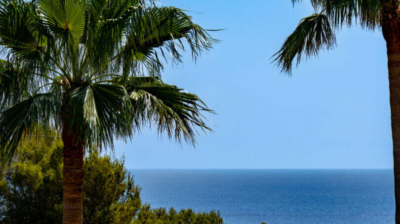 Meerblick durch Palmen in Cala Murada – mediterrane Gartenanlage der Poolvilla mit azurblauem Horizont.
