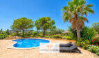 Finca Santa María: Nierenförmiger Pool mit Palmen, Pinien und Liegestühlen auf der sonnigen Terrasse.