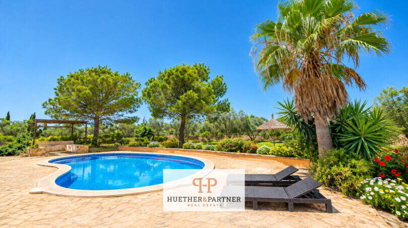 Finca Santa María: Nierenförmiger Pool mit Palmen, Pinien und Liegestühlen auf der sonnigen Terrasse.