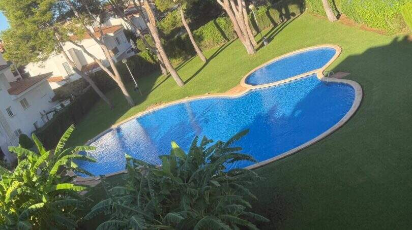 Piscina comunitaria con forma de riñón con césped bien mantenido y pinos junto al ático en Llucmajor