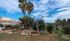 Amplio jardín de la finca cerca de Inca con palmeras, piedras naturales y vegetación verde bajo un cielo azul.