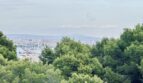 Vista panorámica del puerto de Palma y la Catedral La Seu a través de copas de árboles verdes