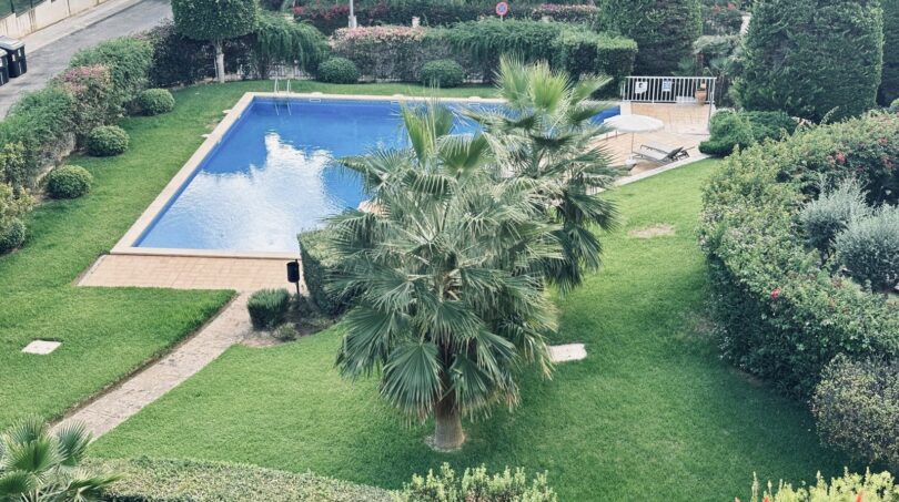 Piscina comunitaria con jardín cuidado y palmeras de la comunidad La Bonanova, Palma de Mallorca