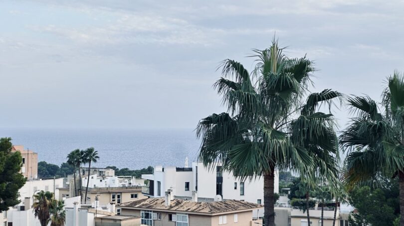 Vista desde la terraza en La Bonanova sobre casas blancas, palmeras y el Mediterráneo bajo cielo nublado.