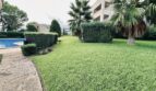 Jardín comunitario cuidado con piscina, palmeras y superficie de césped verde de la comunidad La Bonanova, Palma