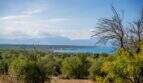 Panoramic view from the finca property of the sea and the mountains of Mallorca, surrounded by Mediterranean vegetation.