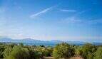 Olive grove with sea view and mountain panorama of the finca in Colònia de Sant Pere
