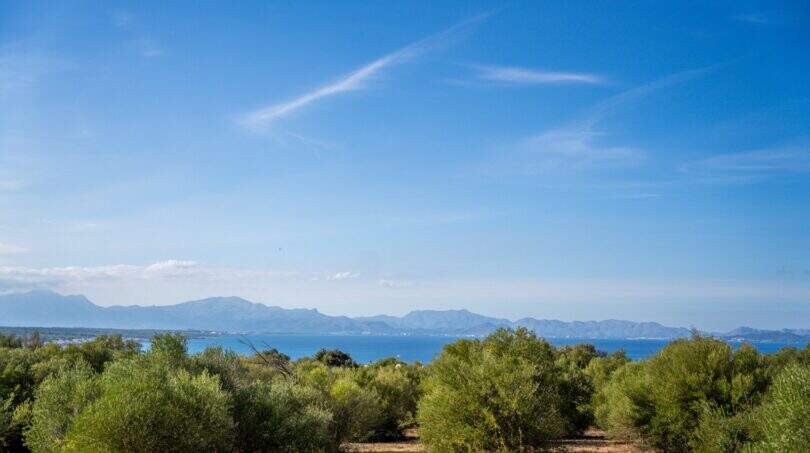 Olive grove with sea view and mountain panorama of the finca in Colònia de Sant Pere
