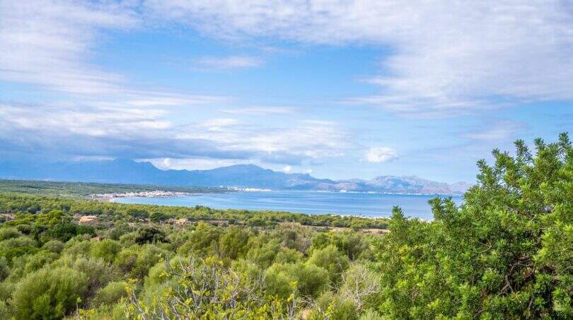 Panoramic view from the finca of the bay, sea and mountains in Colònia de Sant Pere with lush Mediterranean vegetation