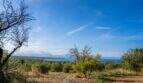 Extensive finca property with olive trees and picturesque sea view of the bay of Sant Pere.