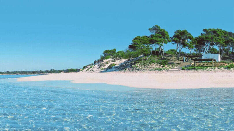 Kristallklares türkisblaues Meer vor weißem Sandstrand mit Pinien in Colonia de Sant Jordi