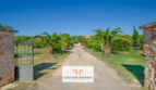 Entrada a la finca en Felanitx con muro de piedra, puerta de hierro y avenida de palmeras hacia la villa