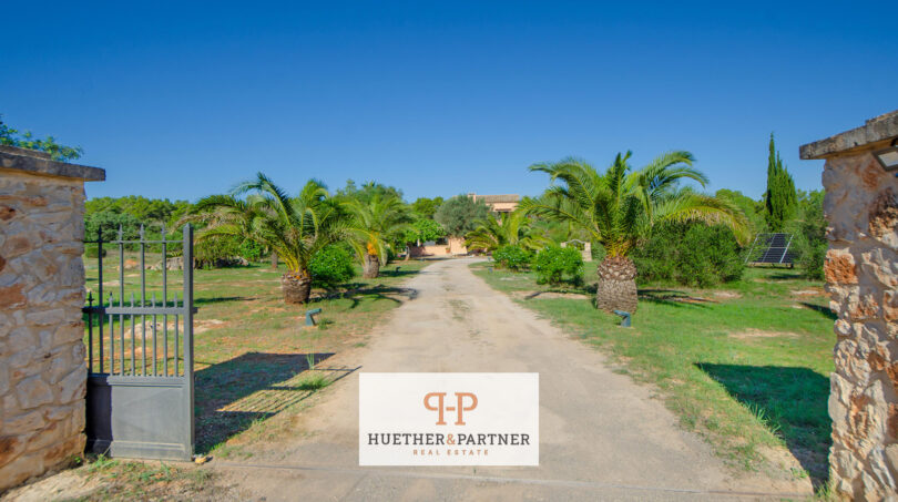 Entrada a la finca en Felanitx con muro de piedra, puerta de hierro y avenida de palmeras hacia la villa