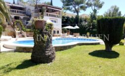 Vista exterior villa Santa Ponsa: Jardín bien cuidado con piscina, palmera y arquitectura mediterránea bajo el sol.