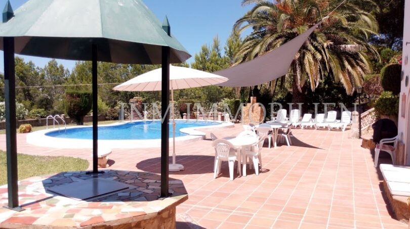 Área de piscina con muebles de terraza, sombrillas y palmeras de la casa unifamiliar en Santa Ponsa