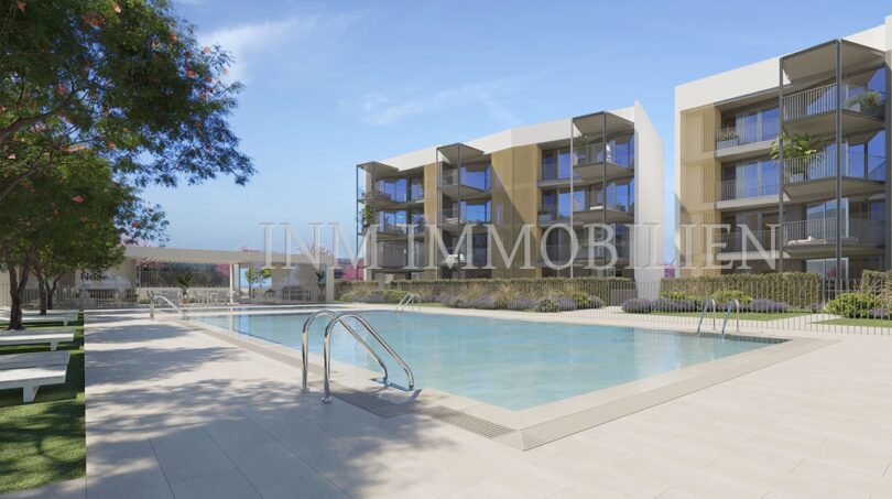 Piscina exterior del complejo de nueva construcción en Palmanova con apartamentos modernos y amplia terraza para tomar el sol