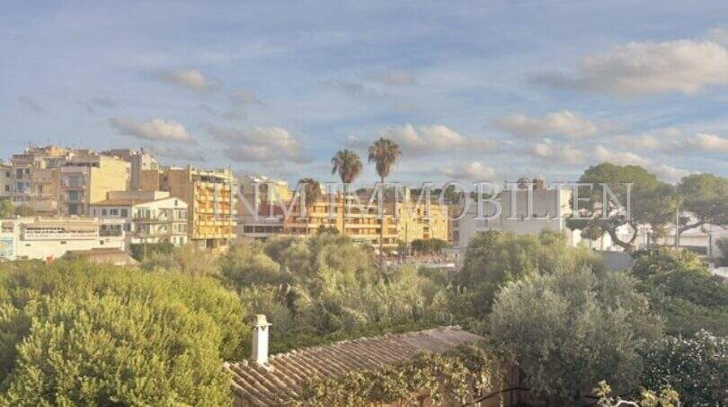 Blick von der Terrasse der Maisonette-Wohnung auf Porto Cristo mit Palmen und Stadtpanorama