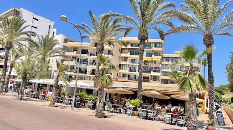 Promenade with palm trees in front of modern apartment building in first sea line, Palma de Mallorca