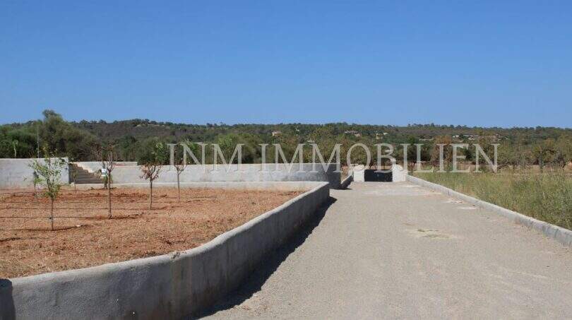 Access to the finca in Campos with concrete driveway, terracing and young trees in front of hilly landscape