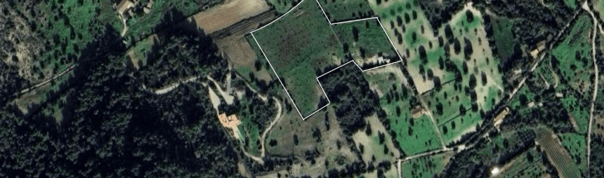 Luftaufnahme eines markierten Baugrundstücks in grüner Landschaft bei Felanitx, Mallorca.