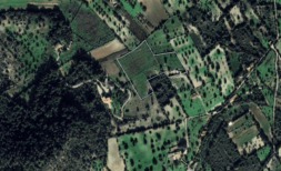 Luftaufnahme eines markierten Baugrundstücks in grüner Landschaft bei Felanitx, Mallorca.