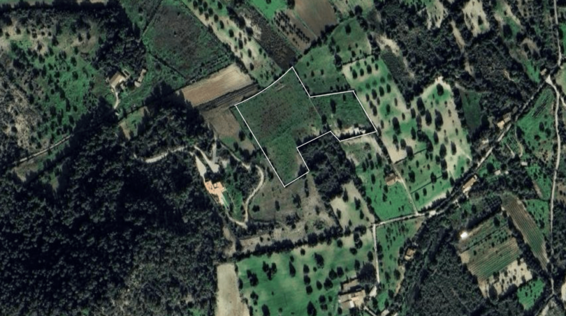 Luftaufnahme eines markierten Baugrundstücks in grüner Landschaft bei Felanitx, Mallorca.
