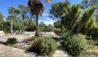 Mediterraner Garten mit Pool, Palmen und Natursteinplatten der Finca in Algaida