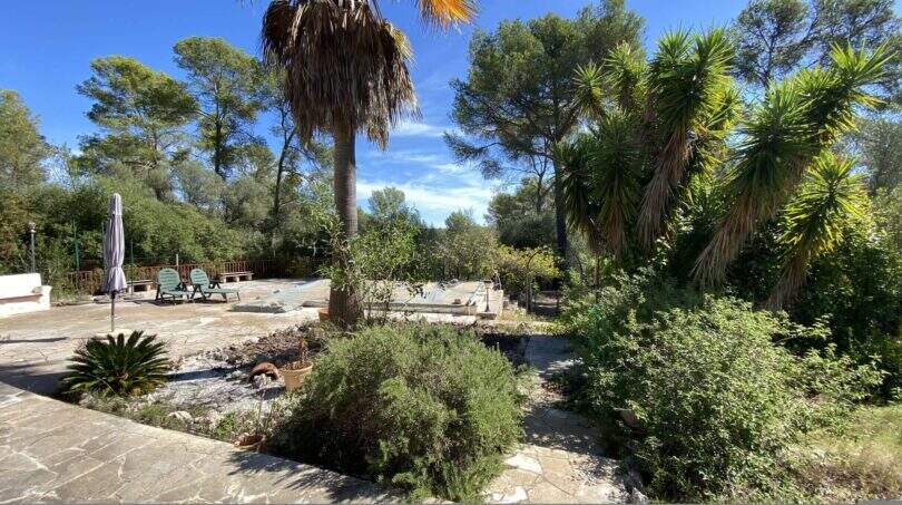 Mediterraner Garten mit Pool, Palmen und Natursteinplatten der Finca in Algaida