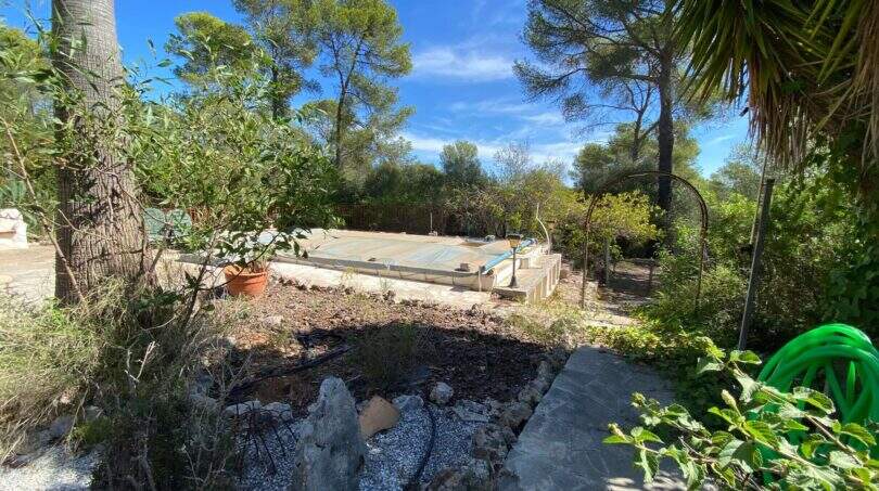 Abgedeckter Pool umgeben von mediterraner Vegetation und Pinien auf Finca in Algaida