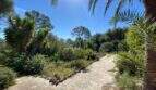 Mediterraner Garten der Finca in Algaida mit Natursteinweg, Palmen und üppiger Bepflanzung unter blauem Himmel.