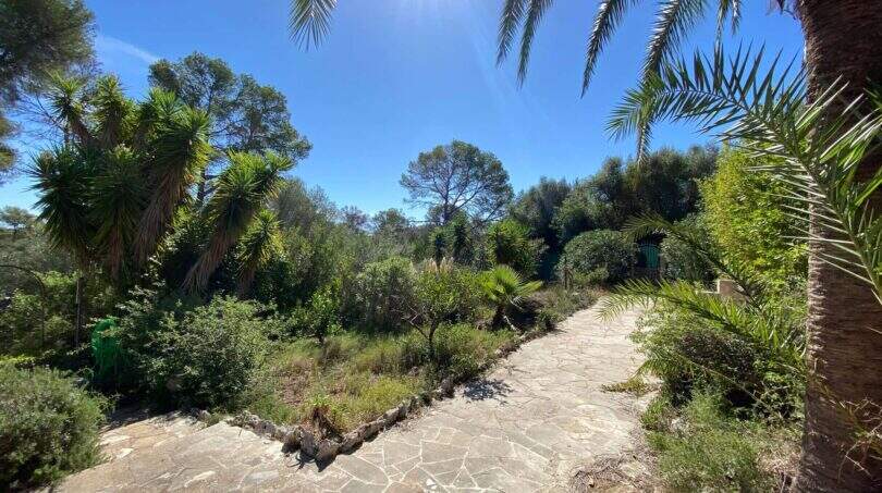 Mediterraner Garten der Finca in Algaida mit Natursteinweg, Palmen und üppiger Bepflanzung unter blauem Himmel.