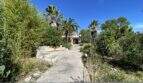 Gepflasterter Zugangsweg zur mediterranen Finca, gesäumt von Palmen, Bambus und Yucca unter blauem Himmel.